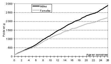 [Courbe de poids moyenne du chaton Siamois mâle et femelle]