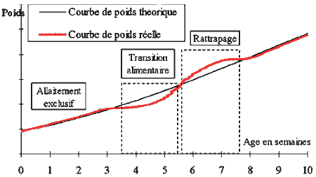 [Courbe de ransition alimentaire réussie]