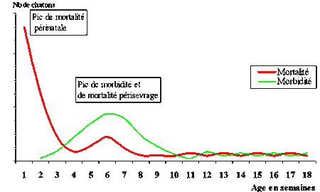 [Mortalité et morbidité chez le jeune en fonction de l’âge]