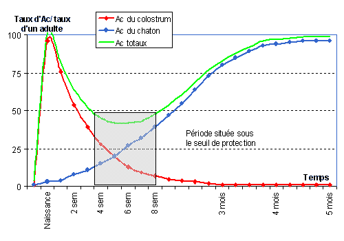 [taux d'anticorps et notion de période critique]