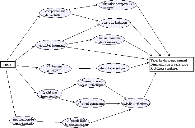 [Stress, conséquences sur l'animal]