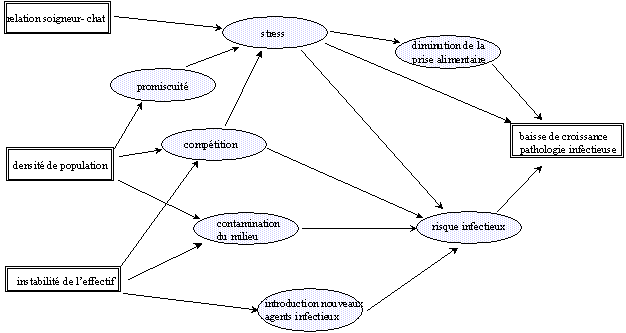 [Conditions d'élevage, conséquences sur l'animal]