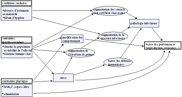 [Conditions d'élevage, conséquences sur l'animal]