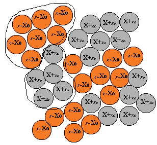 [Prolifération locale de chaque cellule et constitution de petits ilots colorés au niveau de la peau]