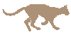 [oriental lilas ou lavender]